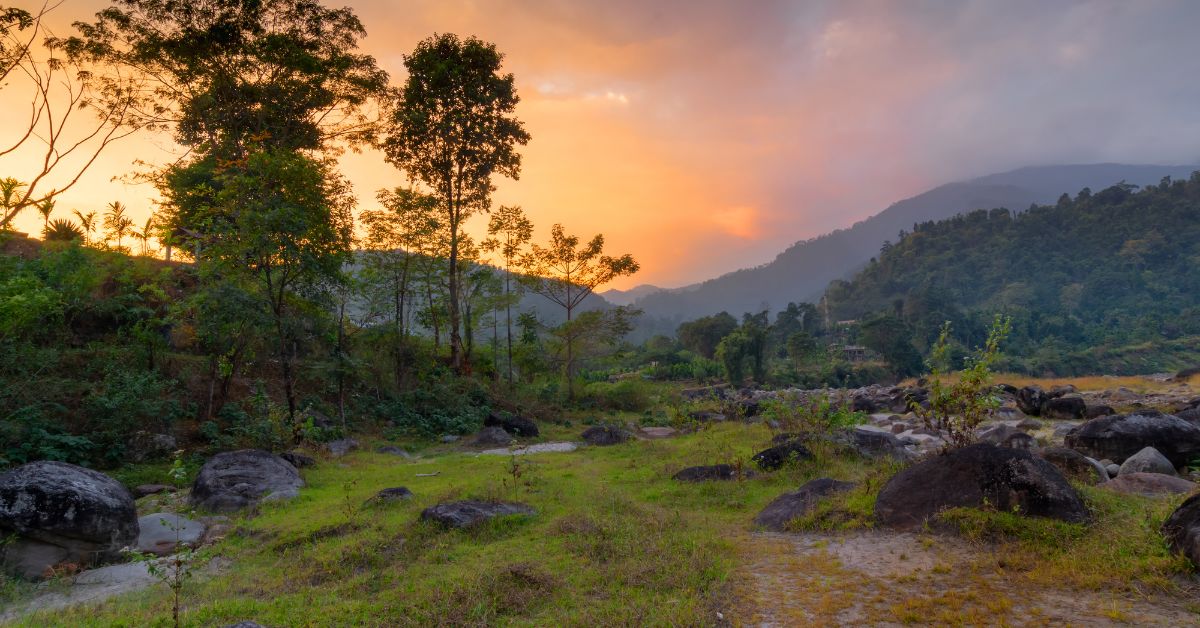 Dooars - Dooars Bhutan Tours Blog